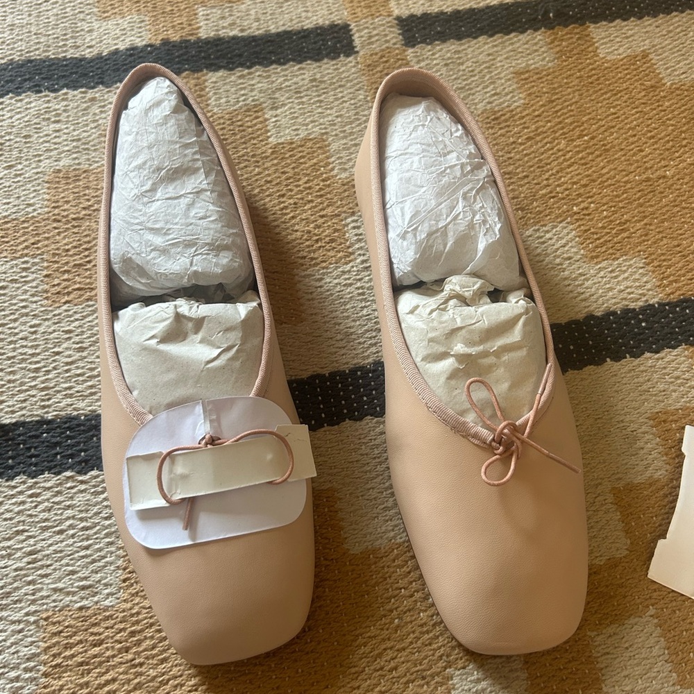 Everlane Day Ballet Flat